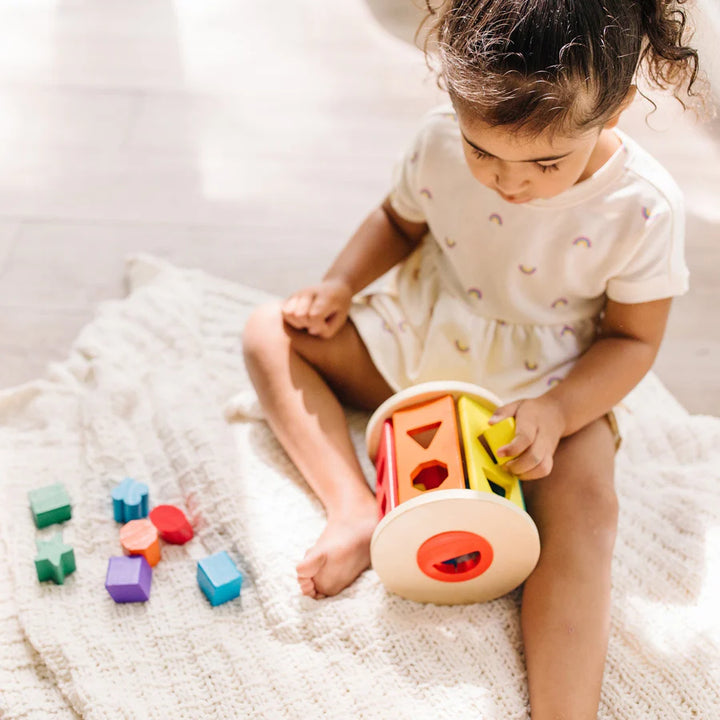 Melissa and Doug Match & Roll Shape Sorter
