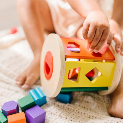 Melissa and Doug Match & Roll Shape Sorter
