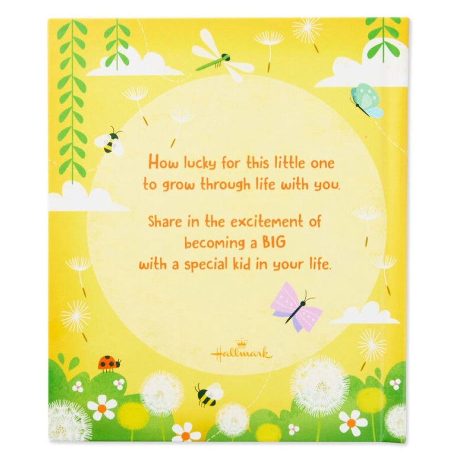 Hallmark You’re Going to Be a Big Sibling Recordable Storybook