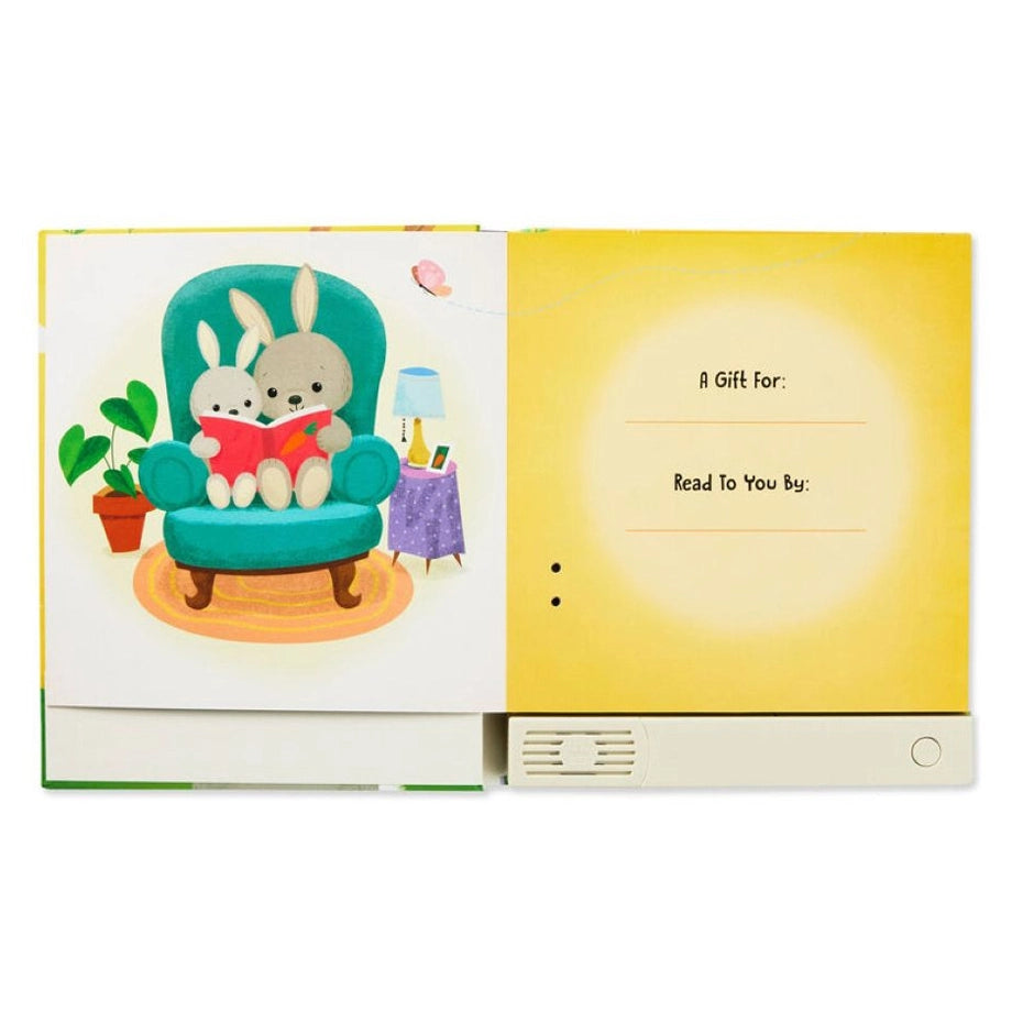 Hallmark You’re Going to Be a Big Sibling Recordable Storybook