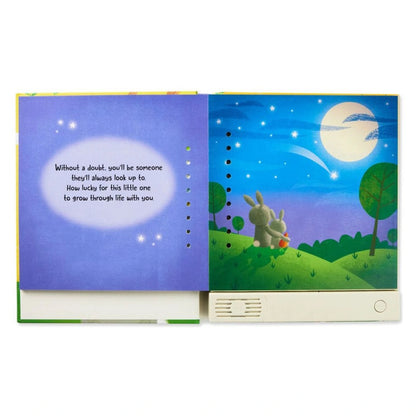 Hallmark You’re Going to Be a Big Sibling Recordable Storybook