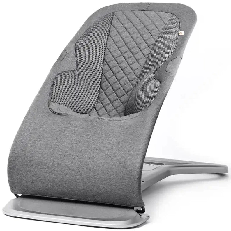 Ergobaby Evolve Bouncer (Charcoal Grey) Ergobaby Evolve Bouncer (Charcoal Grey)