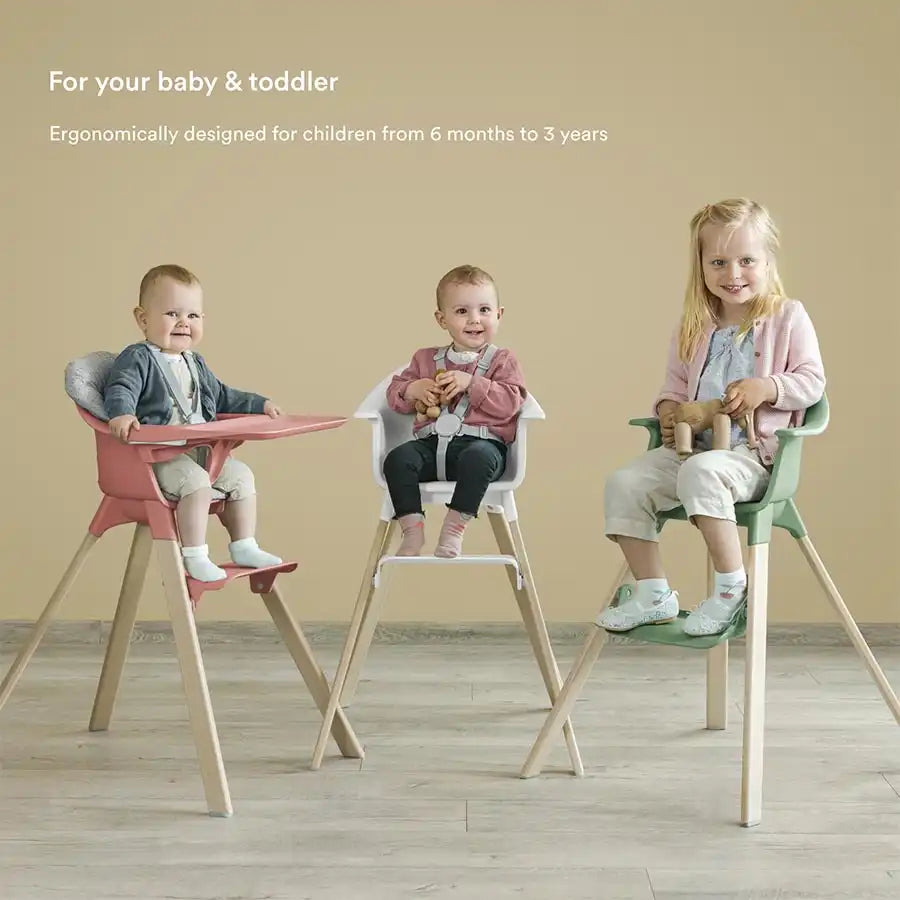 كرسي مرتفع Stokke Clikk (أخضر كلوفر) + حقيبة سفر (رمادي داكن) كرسي مرتفع Stokke Clikk (أخضر كلوفر) + حقيبة سفر (رمادي داكن)