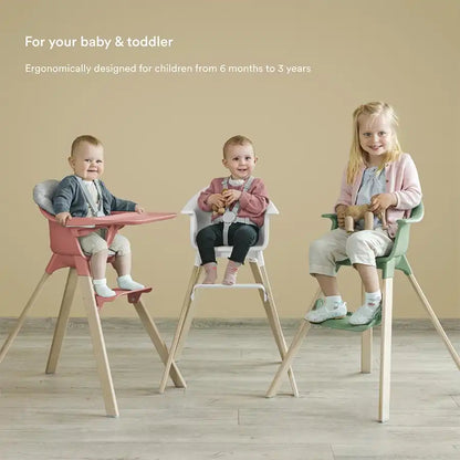 Stokke Clikk Highchair (Clover Green) + Travel Bag (Dark Grey)