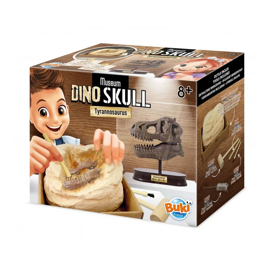 BUKI FRANCE Museum Skull - T-Rex