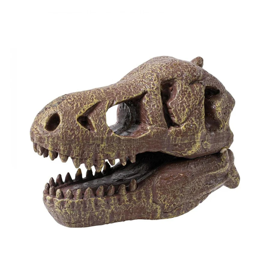 BUKI FRANCE Museum Skull - T-Rex