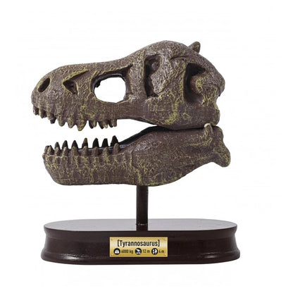 BUKI FRANCE Museum Skull - T-Rex