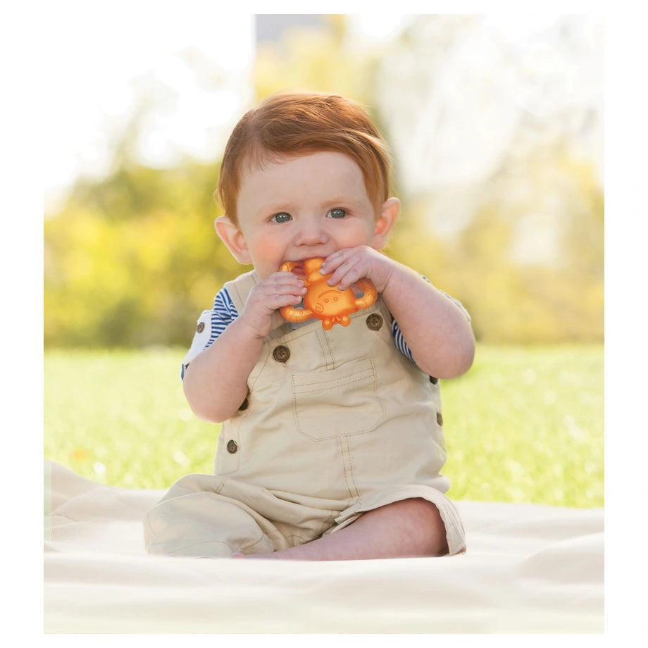 Infantino Garden Teething Pals (0M+)