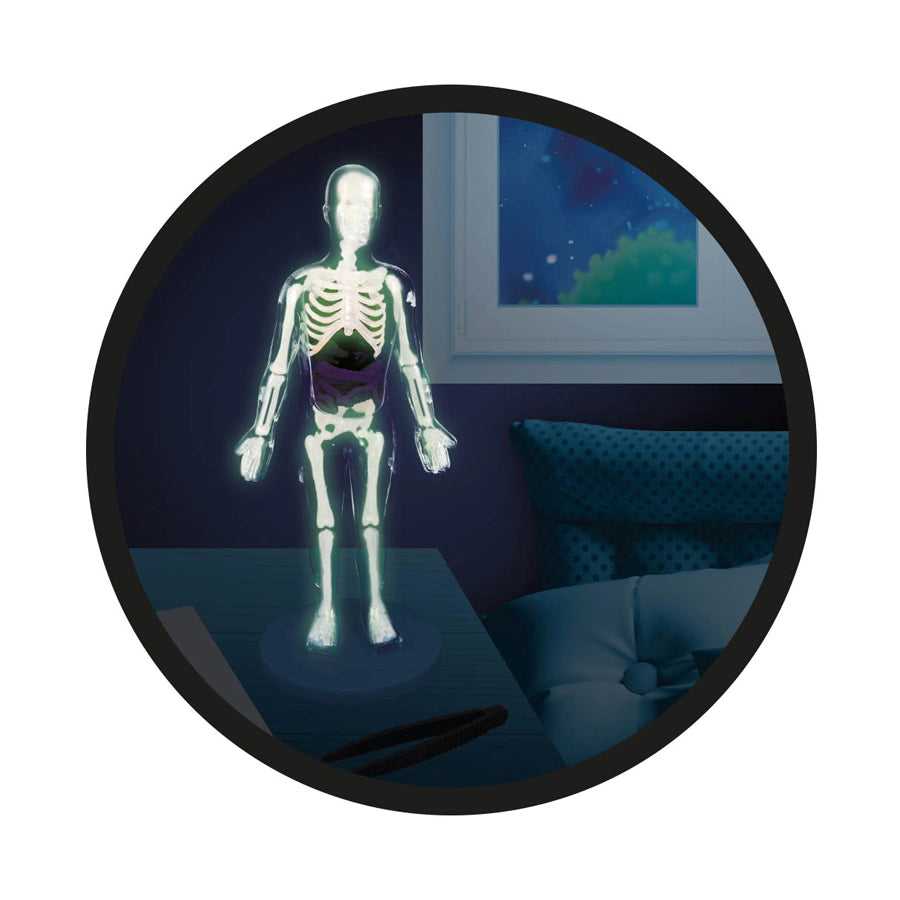 Buki France Human Body Kit