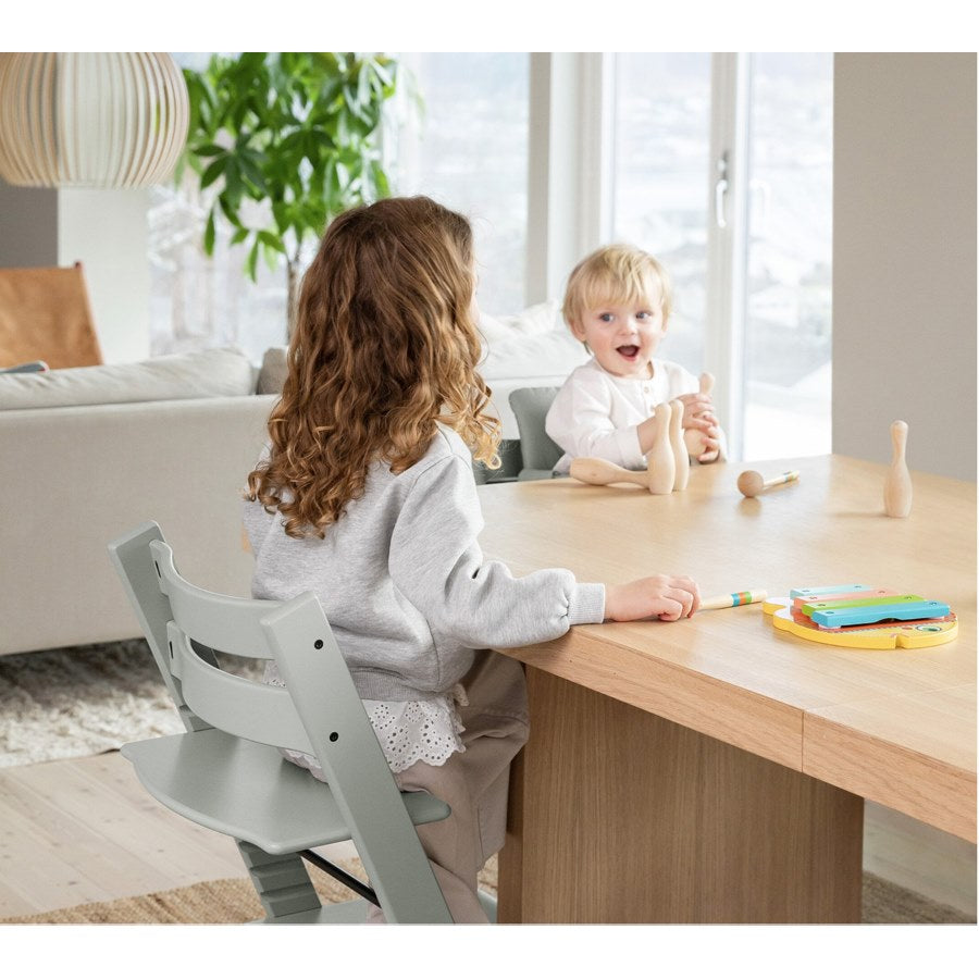كرسي Stokke Tripp Trapp (أخضر جليدي) كرسي Stokke Tripp Trapp (أخضر جليدي)