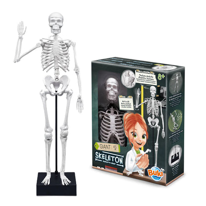 Buki France Skeleton 45cm