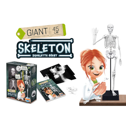 Buki France Skeleton 45cm