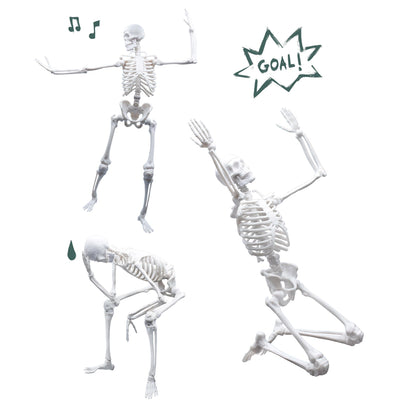 Buki France Skeleton 45cm