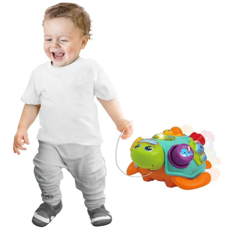 Winfun Pull Along Sort 'N Learn Turtle Winfun Pull Along Sort 'N Learn Turtle