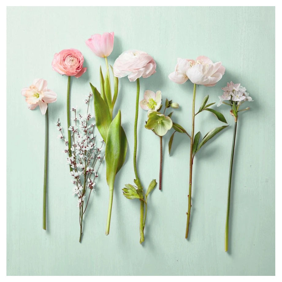 Hallmark Words in Pictures (Blank Card)