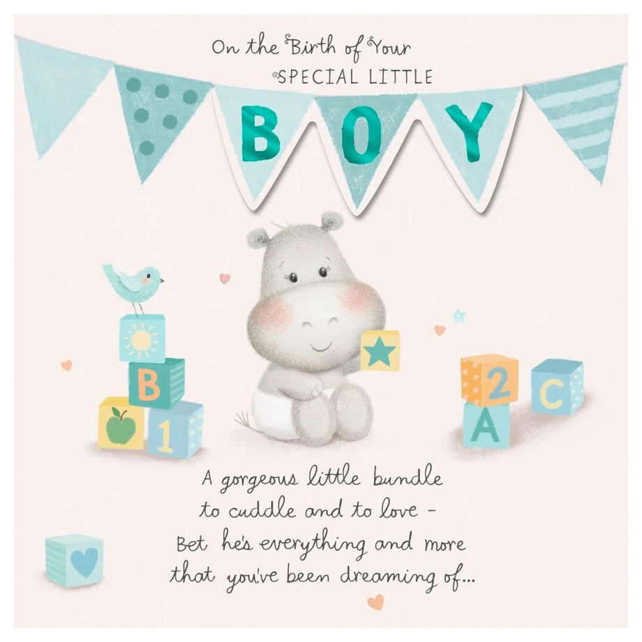 Hallmark On the Birth of Your Special Little Boy!