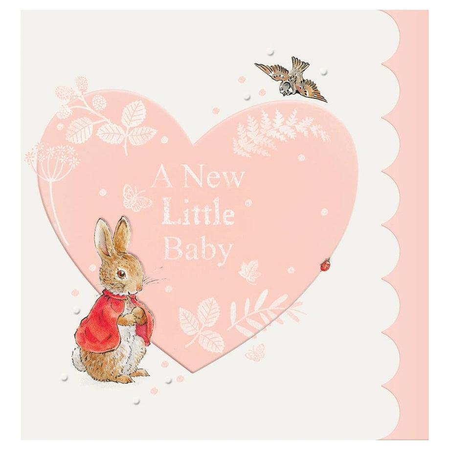 Hallmark A New Little Baby Girl! Congratulations on Your Sweet New Arrival!