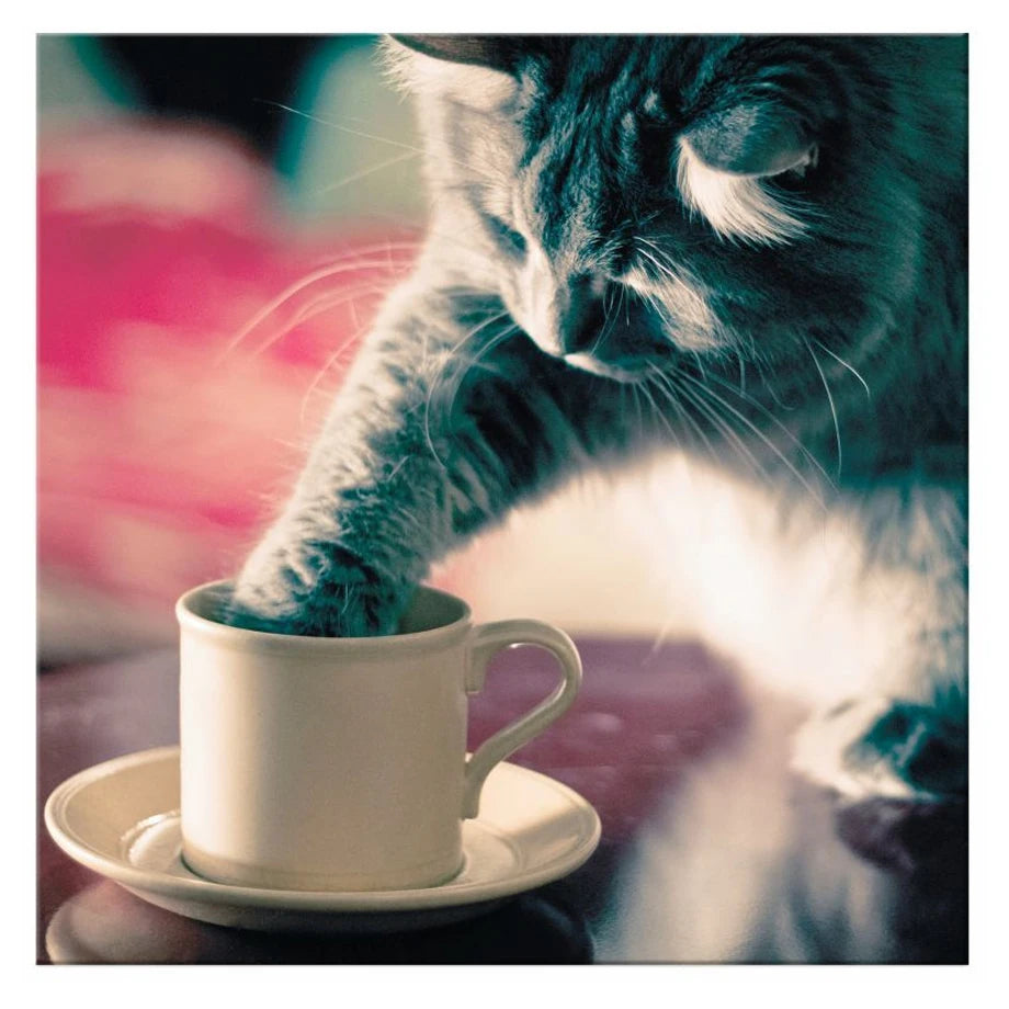 Hallmark Playful Cat (Blank Card)