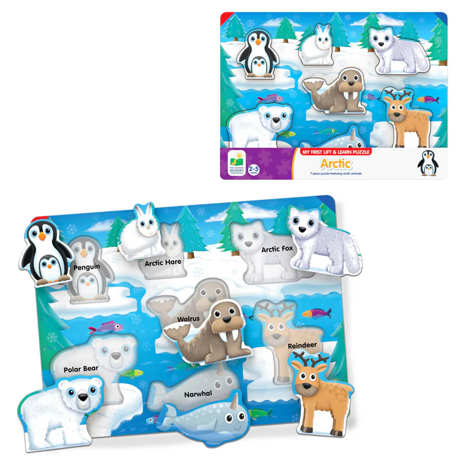 The Learning Journey My First Lift & Learn Artic