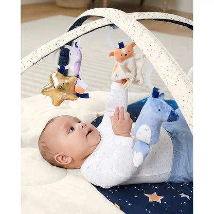 Skip Hop Celestial Dreams Activity Gym
