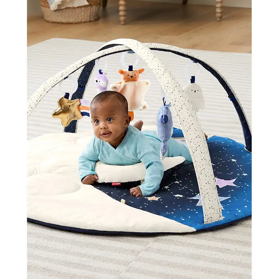 Skip Hop Celestial Dreams Activity Gym