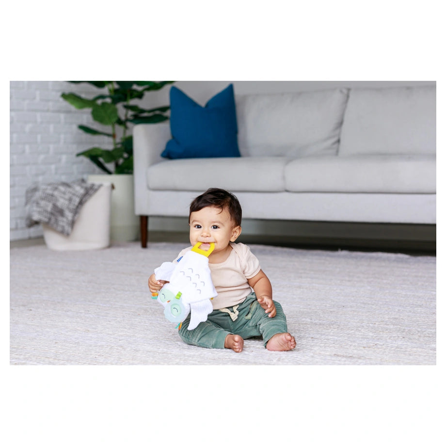 Infantino Glow in the Dark Cuddle & Teether Owl (0M+)