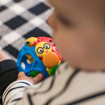 Baby Einstein Bendy Ball Rattle Toy