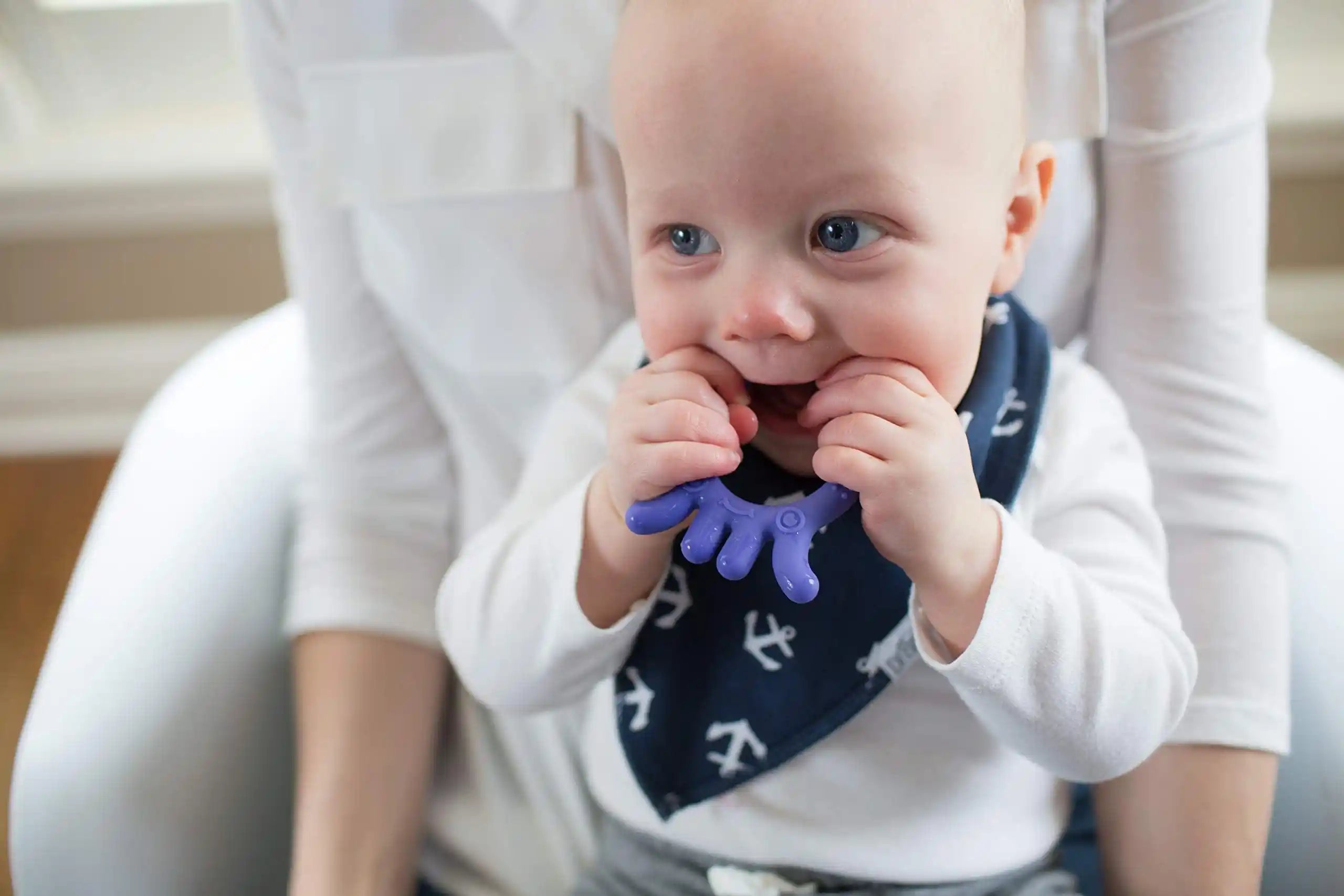 Dr. Browns Flexees Friends Octopus Teether (Purple) Dr. Browns Flexees Friends Octopus Teether (Purple)