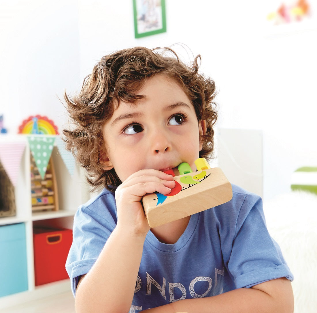 Hape Rainbow Pan Pipe