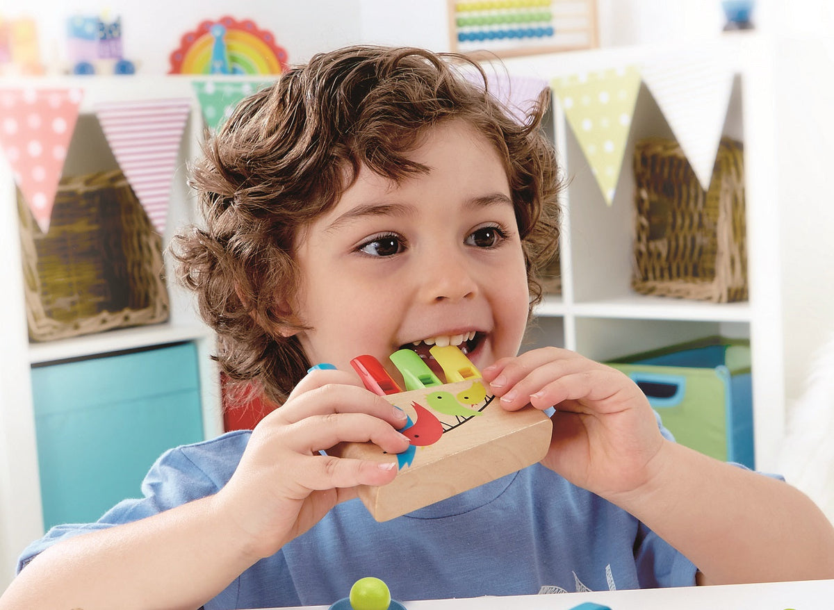 Hape Rainbow Pan Pipe