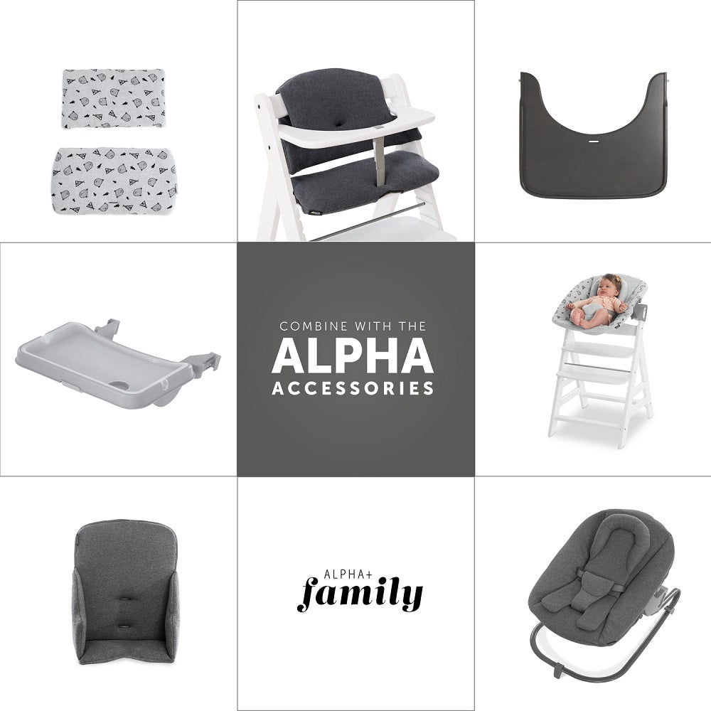 Alpha Plus & Tray & Bouncer 2-In-1 Bear Hearts & Highchair pad Deluxe Teddy (Grey)