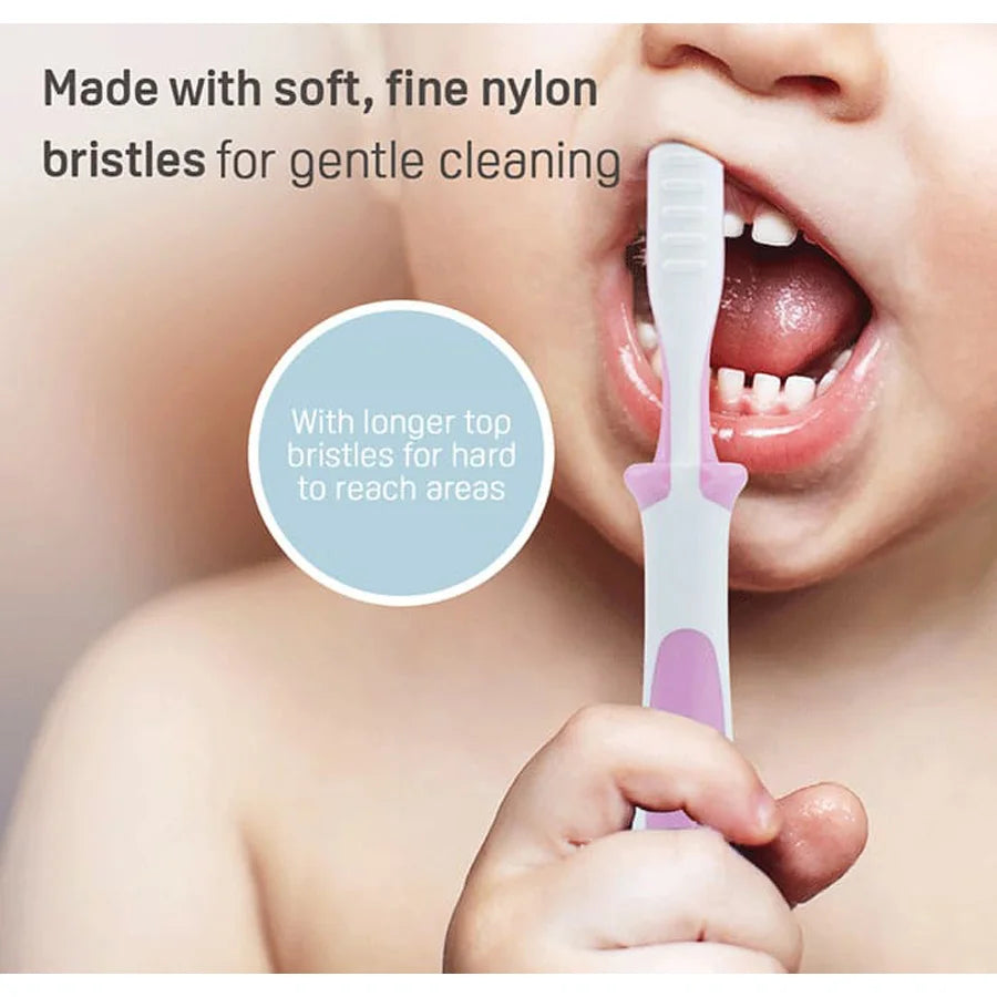 Pigeon Training Tooth Brush Lesson-3 (Pink) Pigeon Training Tooth Brush Lesson-3 (Pink)