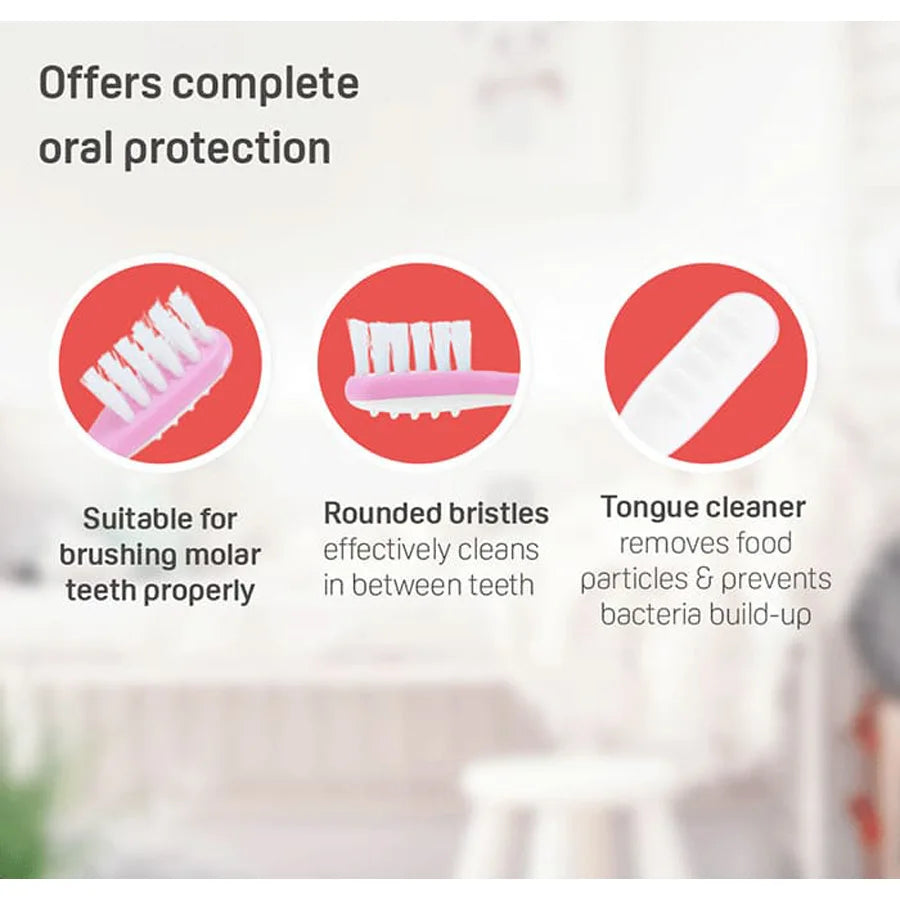 Pigeon Training Tooth Brush Lesson-3 (Pink) Pigeon Training Tooth Brush Lesson-3 (Pink)
