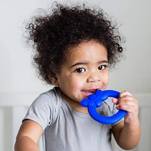 Green Sprouts Silicone Fruit Teether-Blueberry Green Sprouts Silicone Fruit Teether-Blueberry