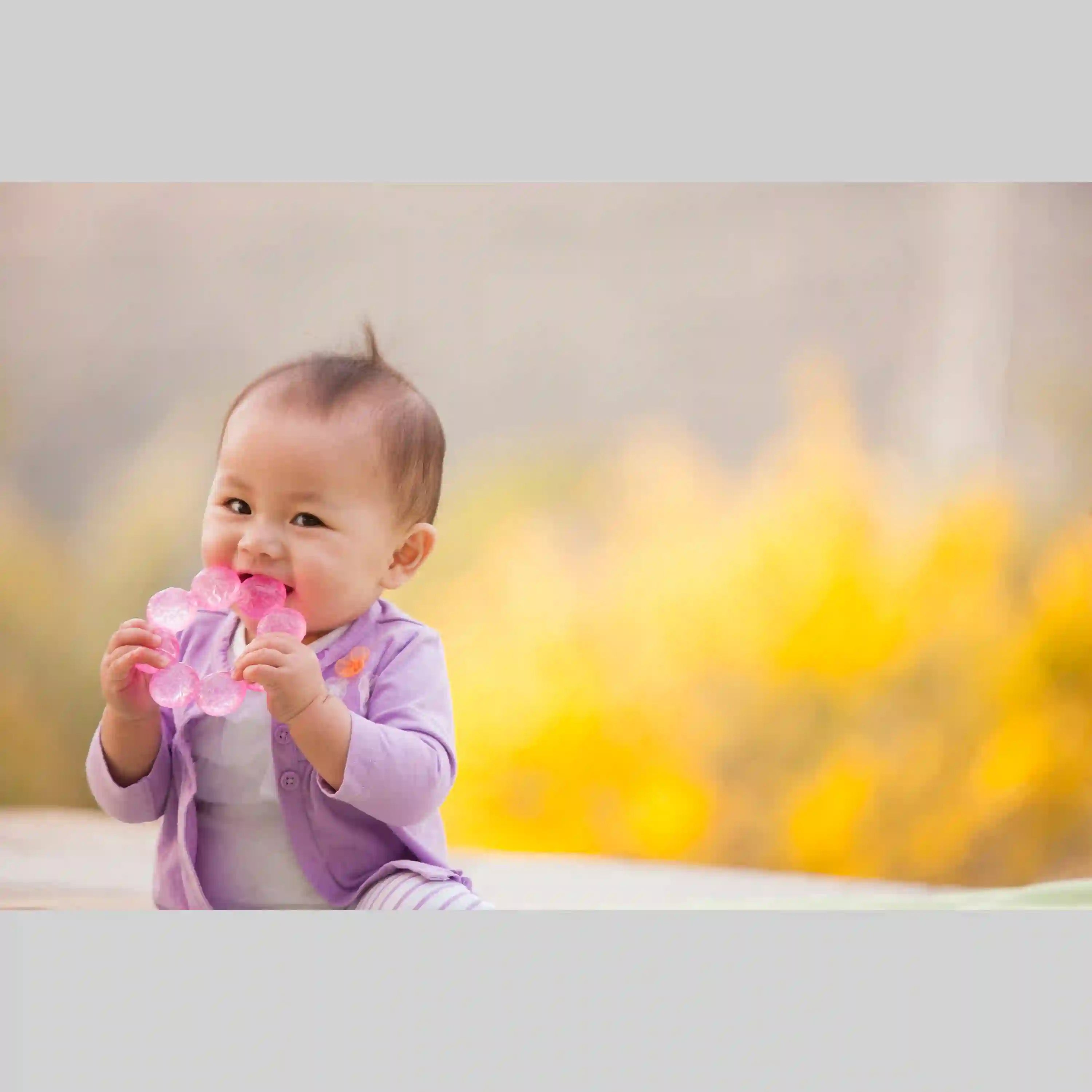 Infantino Water Teether - Grape Fruit Infantino Water Teether - Grape Fruit