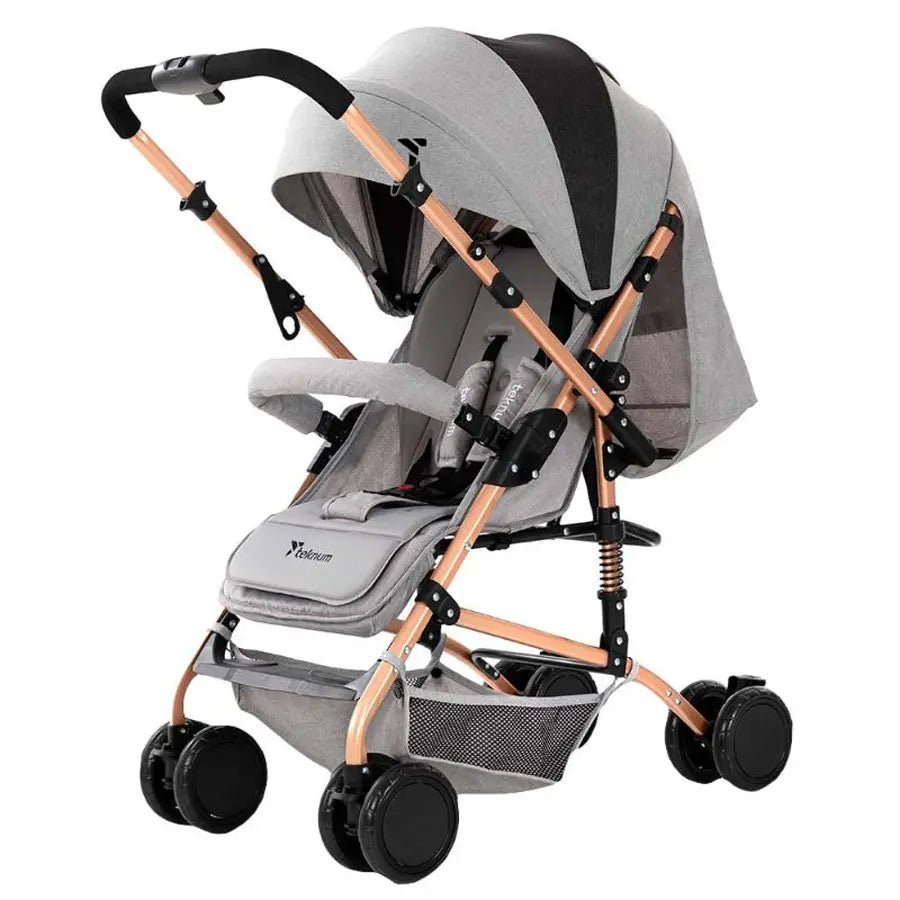 Teknum Reversible Trip Stroller (Grey)