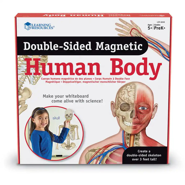 Learning Resources Double-Sided Magnetic Human Body
