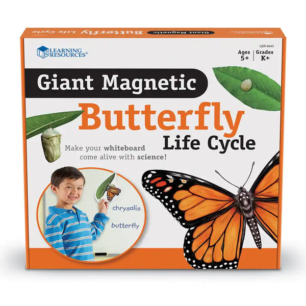 Learning Resources Giant Magnetic Butterfly Life Cycle