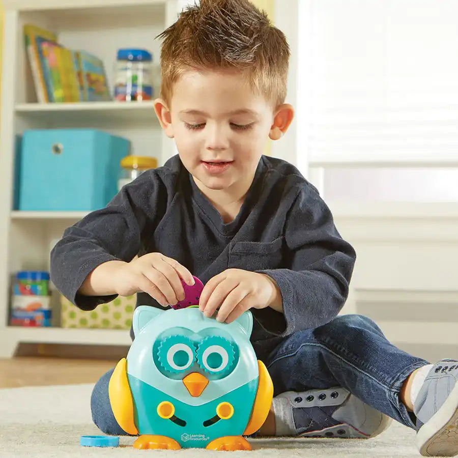 Learning Resources Hoot The Fine Motor Owl Learning Resources Hoot The Fine Motor Owl