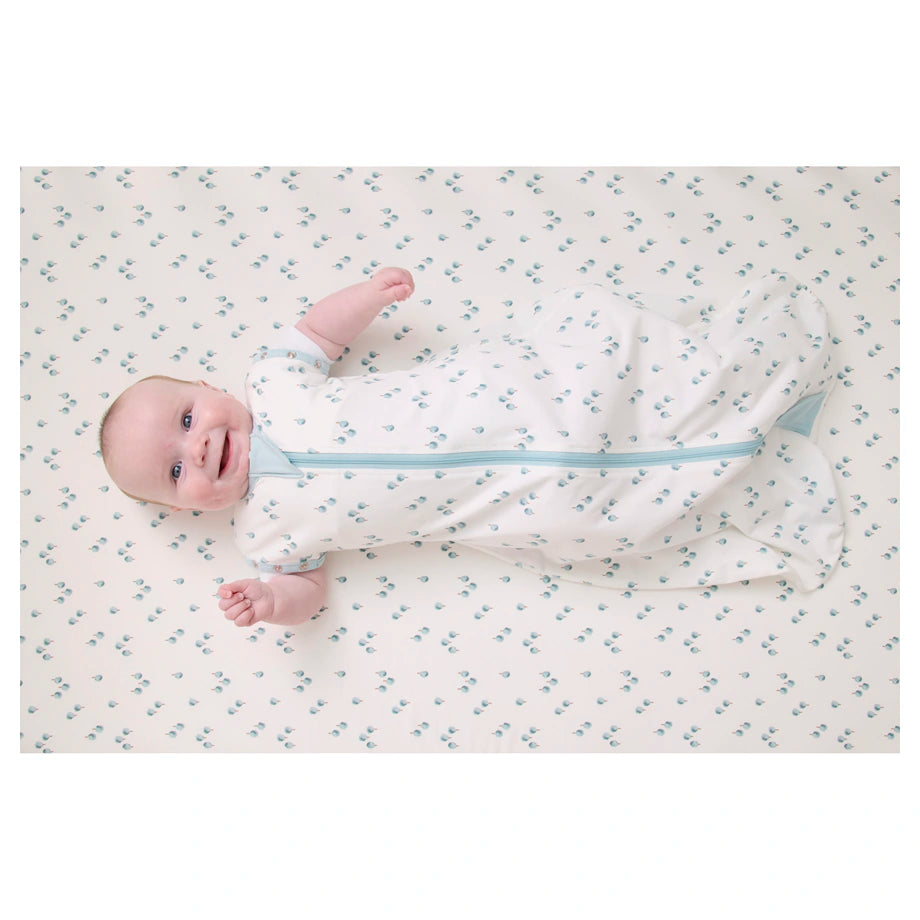 Clevamama Sleep Dreamsuit 0.2 Tog (Watercolour Forest)