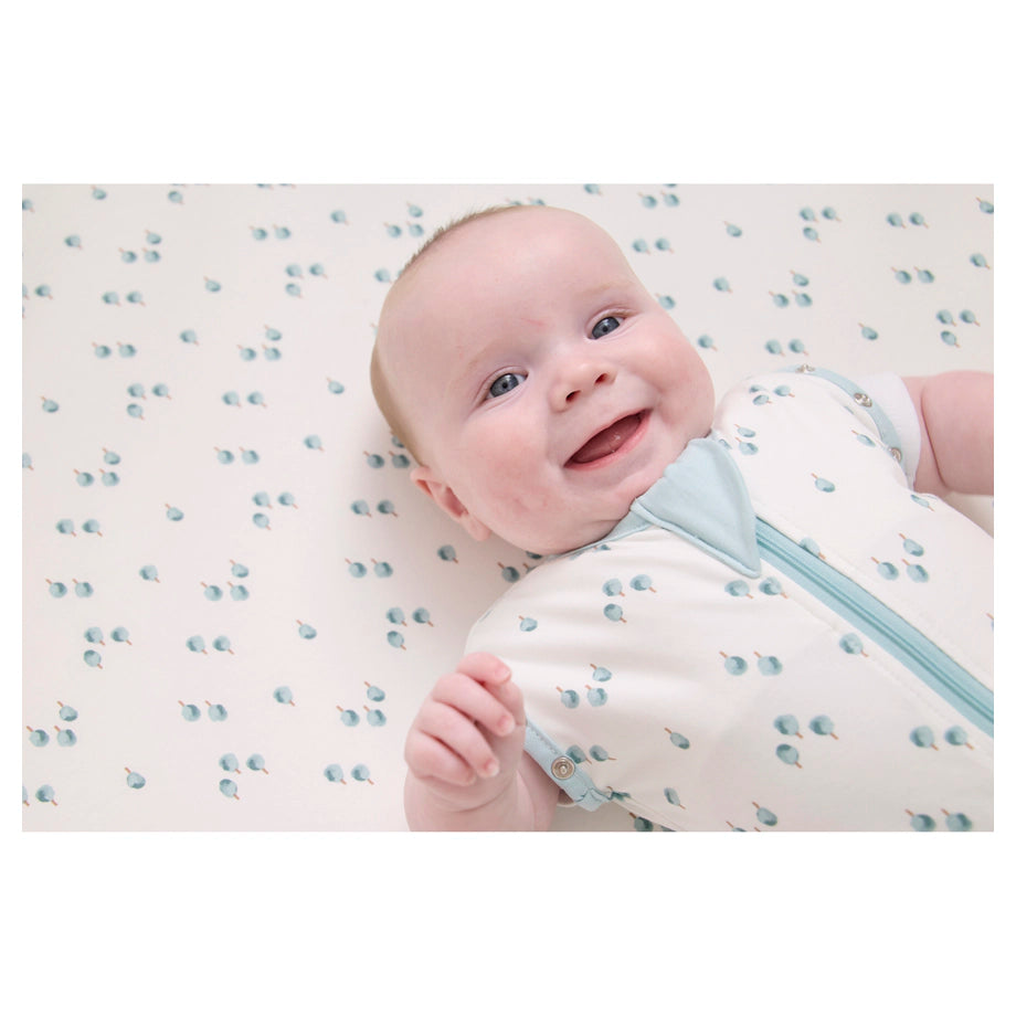 Clevamama Sleep Dreamsuit 0.2 Tog (Watercolour Forest)