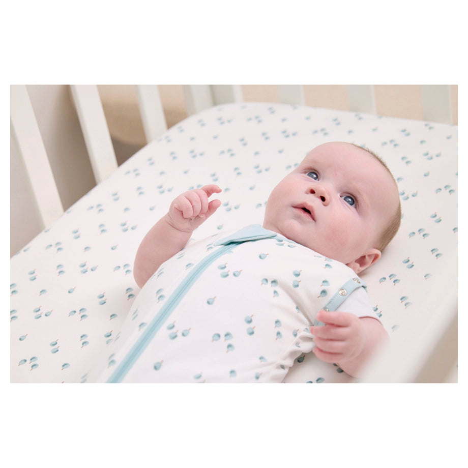 Clevamama Sleep Dreamsuit 0.2 Tog (Watercolour Forest)