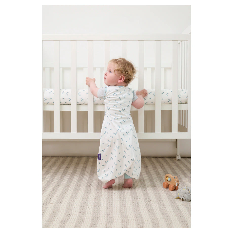 Clevamama Sleep Dreamsuit 0.2 Tog (Watercolour Forest)