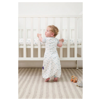 Clevamama Sleep Dreamsuit 0.2 Tog (Watercolour Forest)