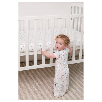 Clevamama Sleep Dreamsuit 0.2 Tog (Watercolour Forest)
