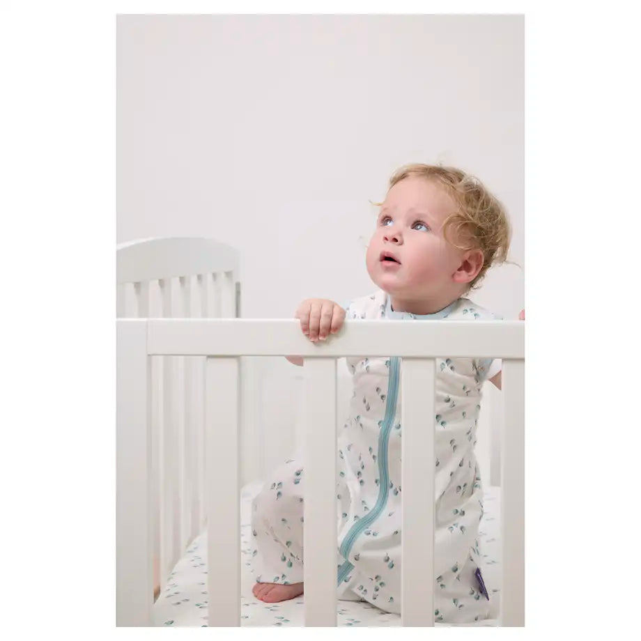 Clevamama Sleep Dreamsuit 0.2 Tog (Watercolour Forest)