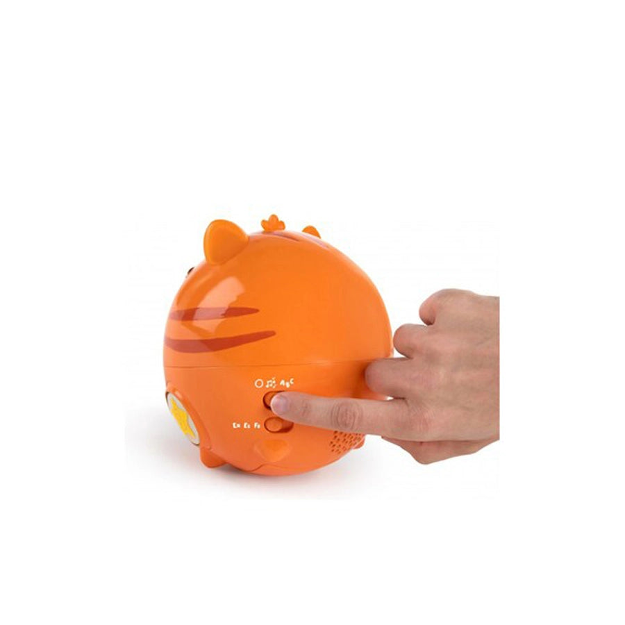 زحف الكرة ليلى زحف الكرة ليلى