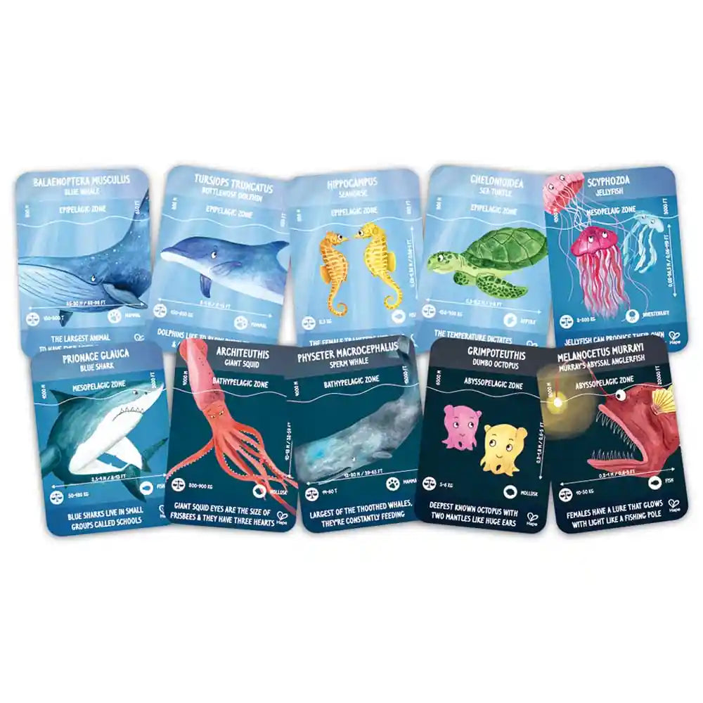Hape Ocean Life Puzzle
