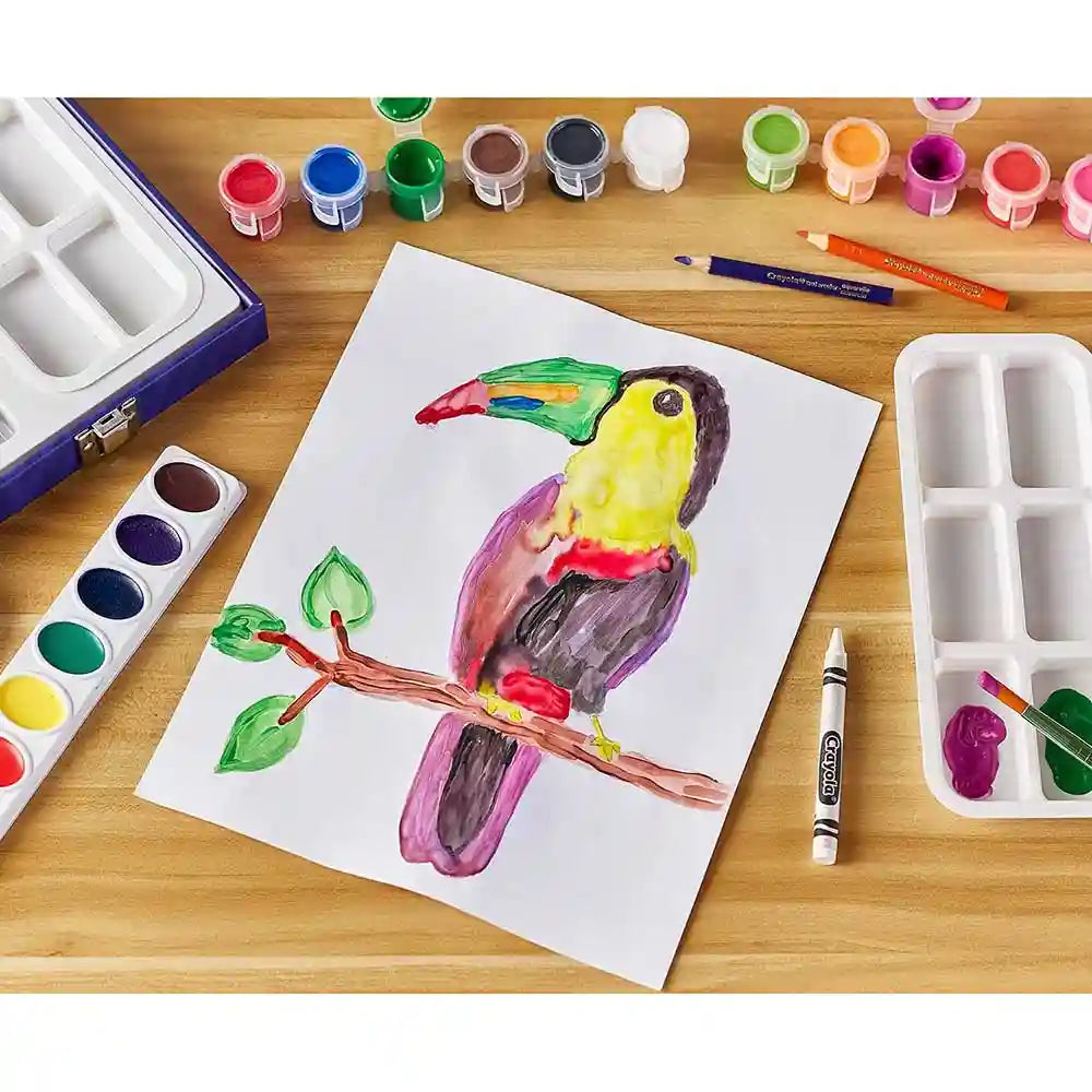 Crayola Paint - Create Easel Case