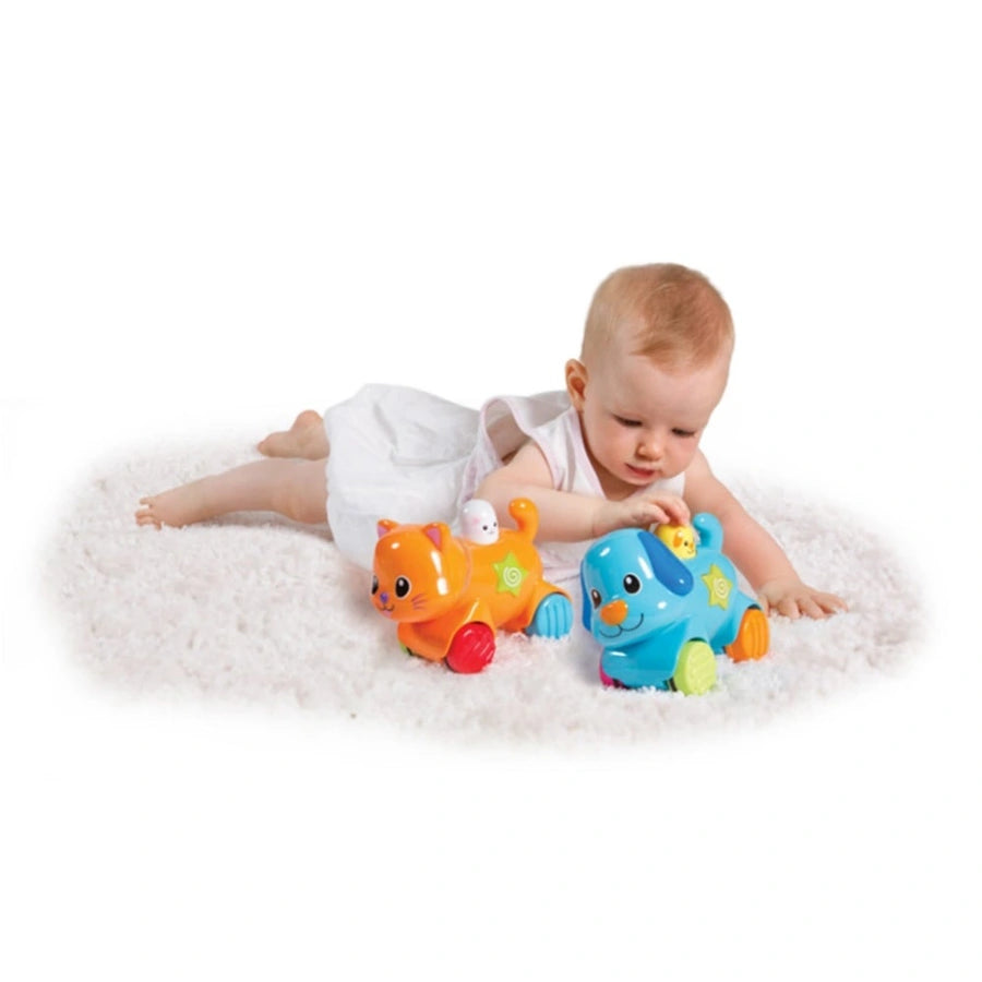 Winfun Press 'N Go Pet - قطة صغيرة Winfun Press 'N Go Pet - قطة صغيرة